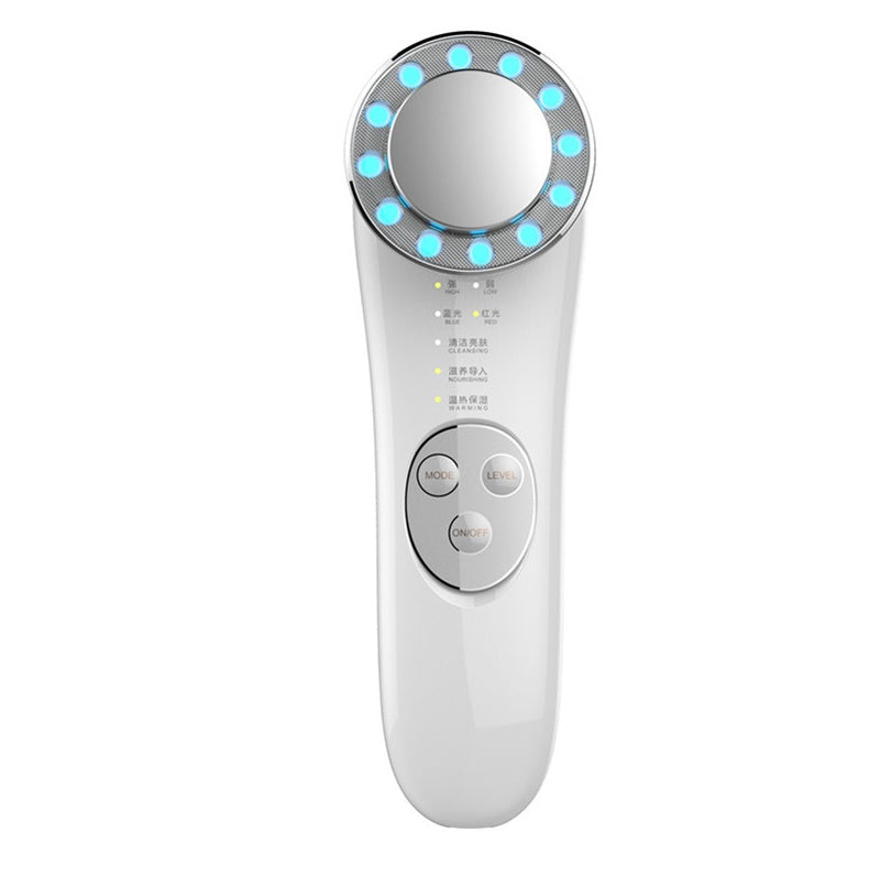 EMS Facial Lifting & LED Skin Care Device