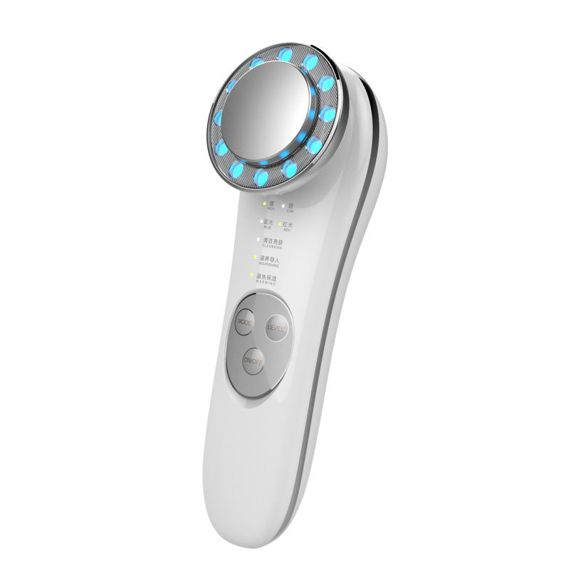 EMS Facial Lifting & LED Skin Care Device