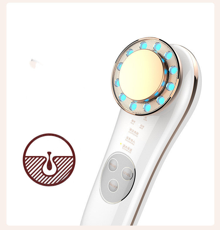 EMS Facial Lifting & LED Skin Care Device